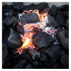 TORO Namibia Restaurant XL  Charcoal (10 kg)